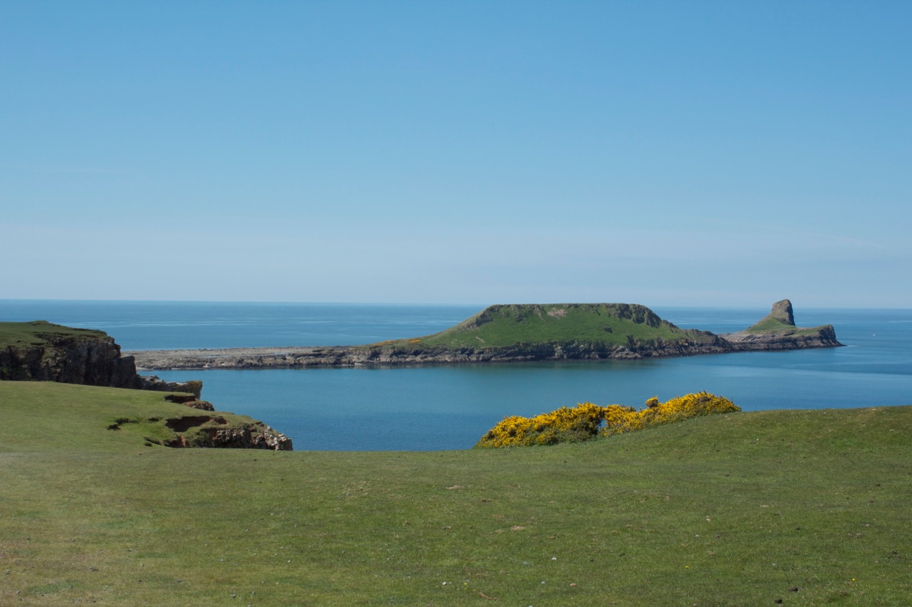 gower-worms-head_25-5-13
